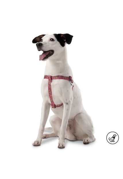 Arnés Brunno Para Mascota