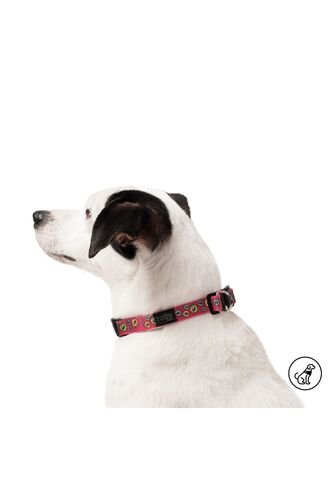 Collar Ajustable Para Perro Mylu L Rojo Totto