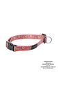 Collar Ajustable Para Perro Mylu L Rojo de Totto