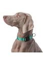 Collar Ajustable Mylu Para Perro de Totto