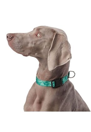 Collar Ajustable Mylu Para Perro