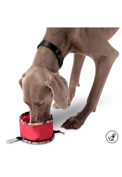 Bebedero Portatil Vito