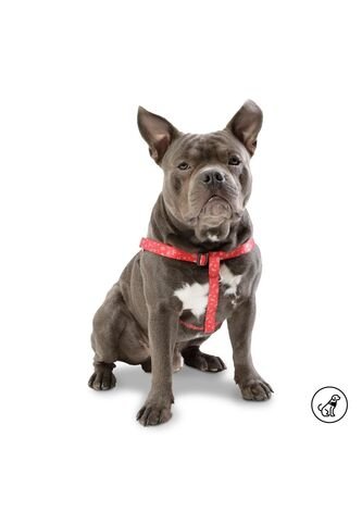 Arnés Brunno Grande Para Mascota Totto