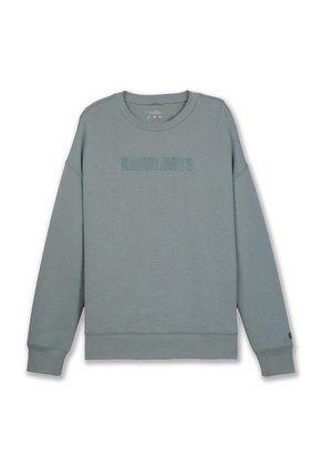 Buzo Para Hombre Cuello Redondo Vess Verde