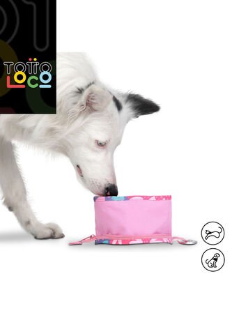 Bebedero Portátil Vito Para Mascota Totto