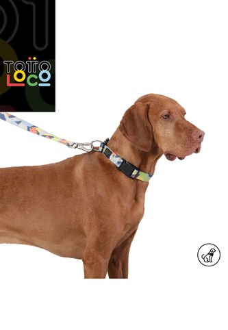 Collar Ajustable Mylu Totto