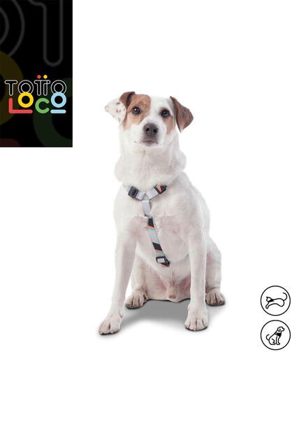 Arnés Figgo Para Mascota