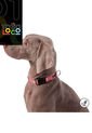 Collar Ajustable Para Perro Mylu L Rojo de Totto