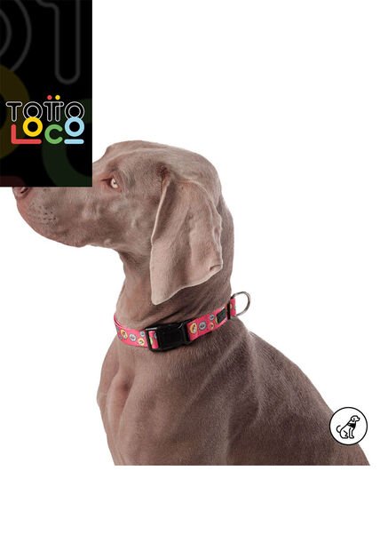 Collar Ajustable Para Perro Mylu L Rojo