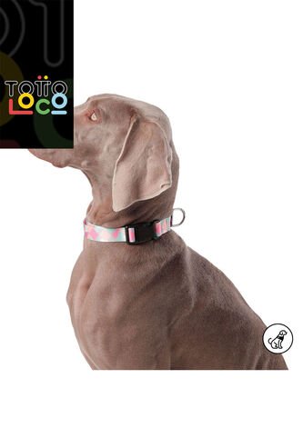 Collar Ajustable Mylu Para Perro Totto