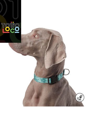 Collar Ajustable Mylu Para Perro Totto