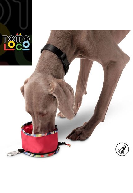 Bebedero Portatil Vito