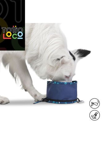 Bebedero Portátil Vito Para Mascota Totto