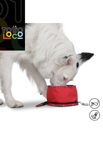 Bebedero Portátil Vito Para Mascota Totto