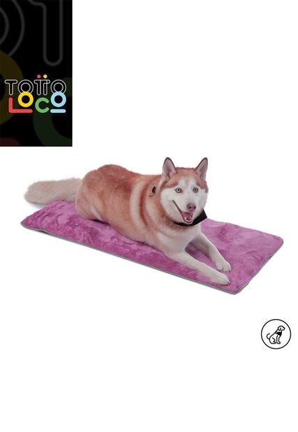 Cama Plegable Portatil Sherpy Grande Morada