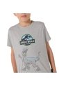 Camiseta Para Niño Jurassic World Gris de Totto