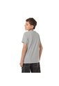 Camiseta Para Niño Jurassic World Gris de Totto