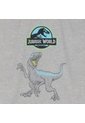 Camiseta Para Niño Jurassic World Gris de Totto