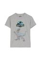 Camiseta Para Niño Jurassic World Gris de Totto