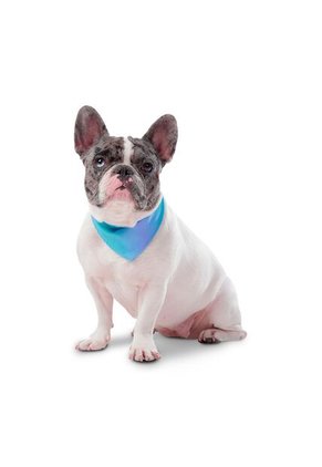 Pañuelo Menta Doble Faz 2.0