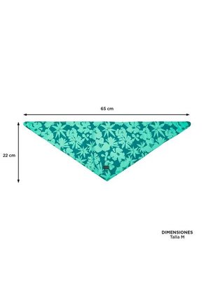 Pañuelo Menta Doble Faz 2.0