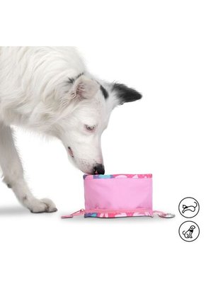 Bebedero Portátil Vito Para Mascota