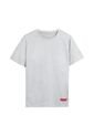 Camiseta Para Hombre Mozartpro Gris de Totto