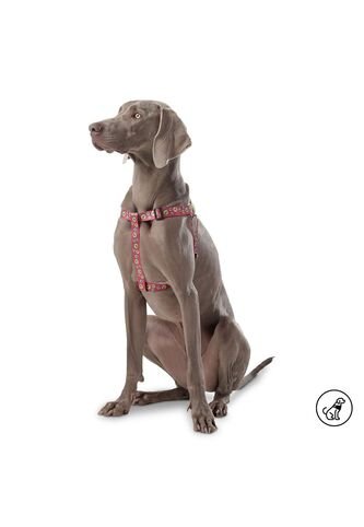 Arnés Brunno Para Mascota Totto