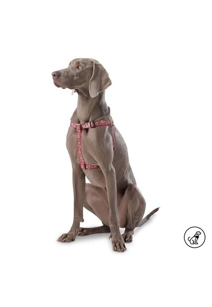 Arnés Brunno Para Mascota