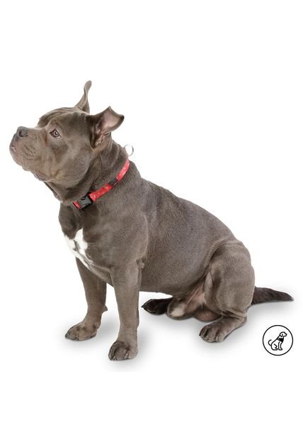 Collar Ajustable Perro/Mascota Con Chapa De Seg Mkp Mylu