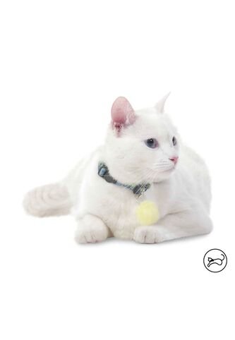 Collar Ajustable Para Gato Meow Azul Totto