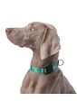 Collar Ajustable Mylu Para Perro de Totto