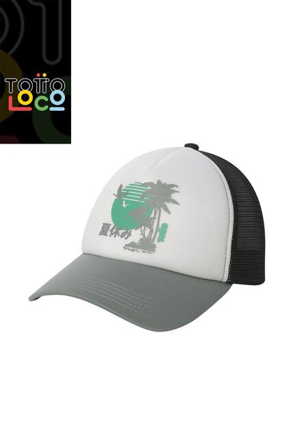Gorra Camionera Atlasy Color Gris