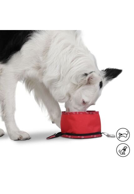 Bebedero Portátil Vito Para Mascota