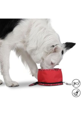 Bebedero Portátil Vito Para Mascota