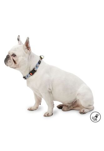 Collar Ajustable Mylu Totto