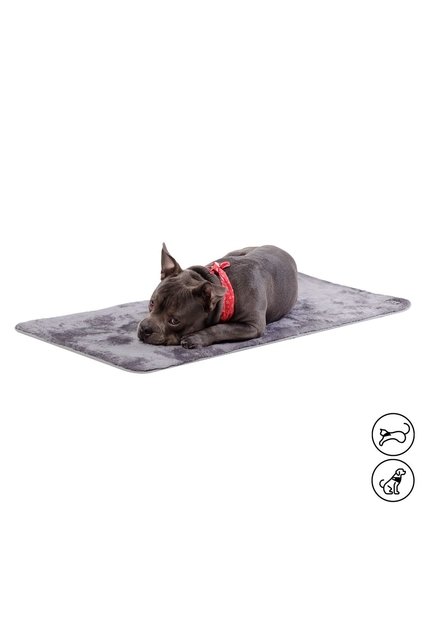 Cama Plegable Portatil Sherpy Mediano Gris