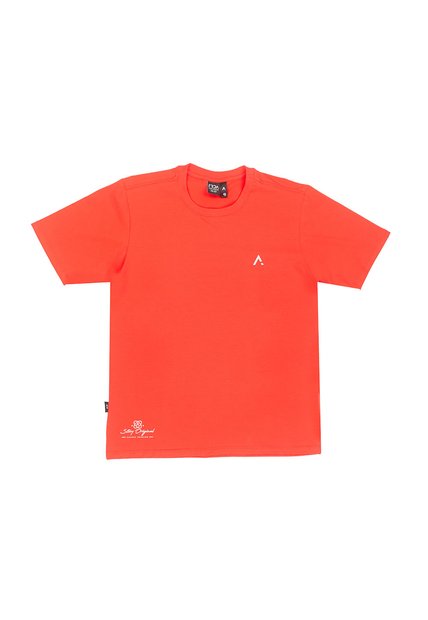 CAMISETA TRIADA HOMBRE 2199-26 Talla S