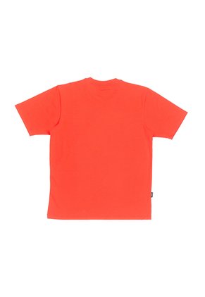 CAMISETA TRIADA HOMBRE 2199-26 Talla S