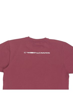 CAMISETA TRIADA HOMBRE 2213-26 Talla XL