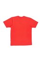 CAMISETA TRIADA HOMBRE 2217-26 Talla S de Triada