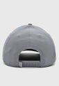Gorra UNDER ARMOUR Curry Gris de Under Armour