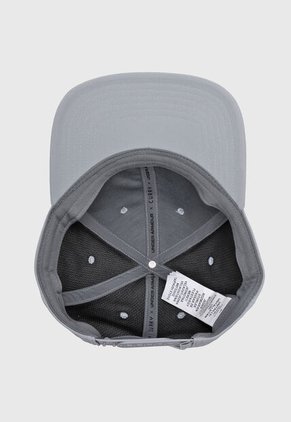 Gorra UNDER ARMOUR Curry Gris