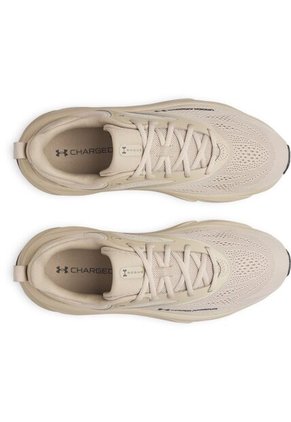 Tenis Hombre Under Armour UA ROGUE 6 Marron Under Armour
