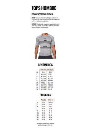 Camiseta Hombre UNDER ARMOUR CURRY BOBBLE HEAD SS Gris Under Armour