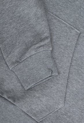 Hoodie UNDER ARMOUR Rival Gris