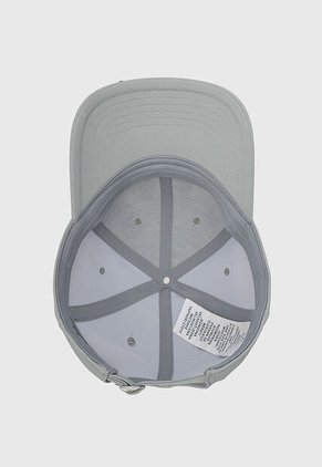 Gorra UNDER ARMOUR Blitzing Low Gris