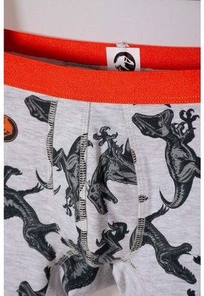 Pack X2 Boxer De Jurassic World Multicolor Para Niño 4
