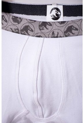 Pack X2 Boxer De Jurassic World Verde Y Blanco Para Niño 8
