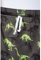 Conjunto De Baño De Jurassic World Verde Para Niño 8 de Universal